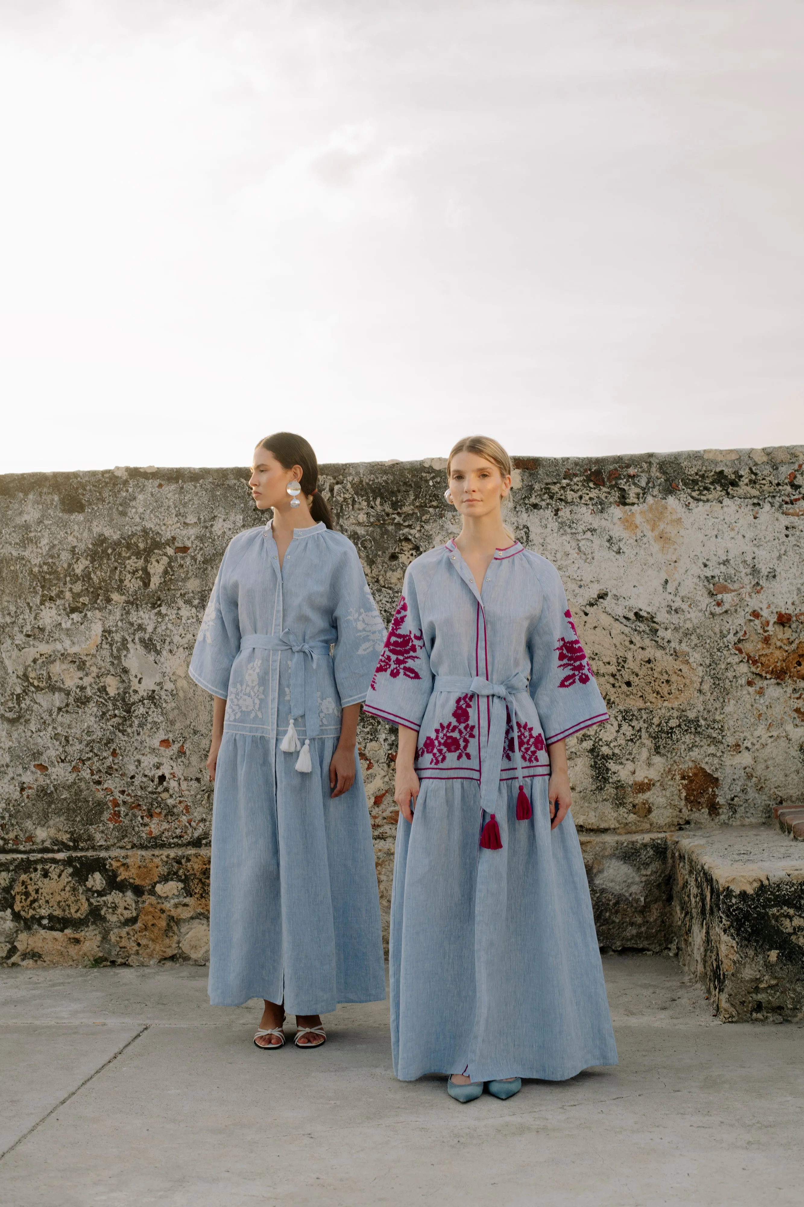 Light Denim Swan Dress