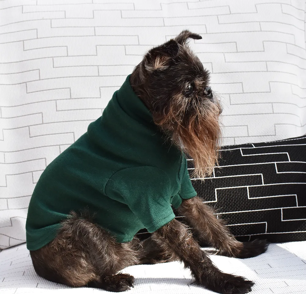 Mr Soft Top Winter Midweight Merino Tee  |  Dark Winter Green