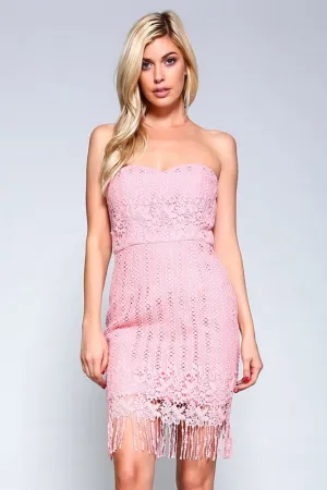 Pink Laced Fitted Dress With Fringe