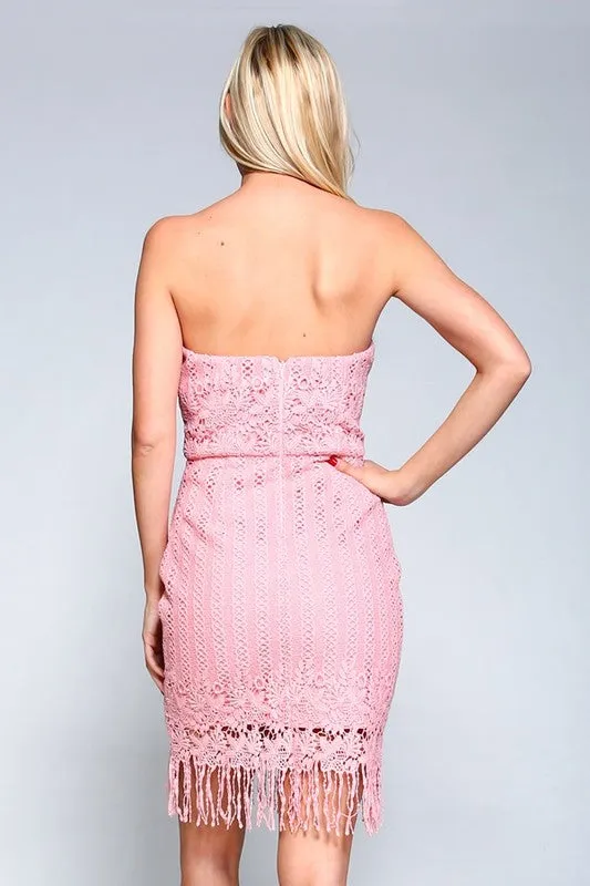 Pink Laced Fitted Dress With Fringe