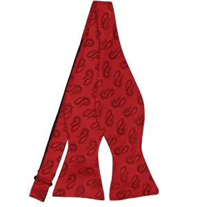 Red and Wine Etna Paisley Self-Tie Bow Tie