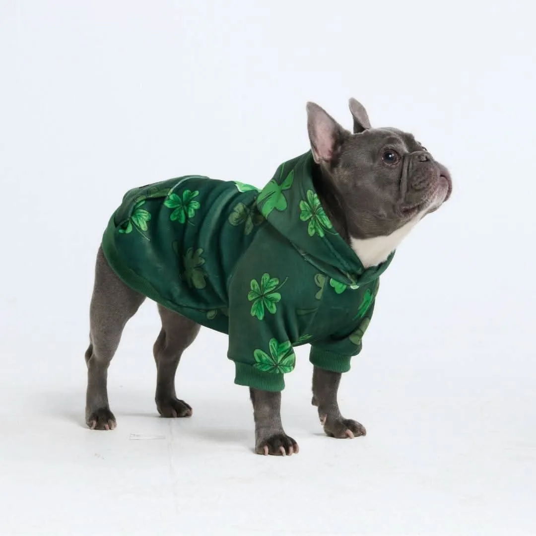 St. Paddy's Dog Hoodies (Limited Edition)